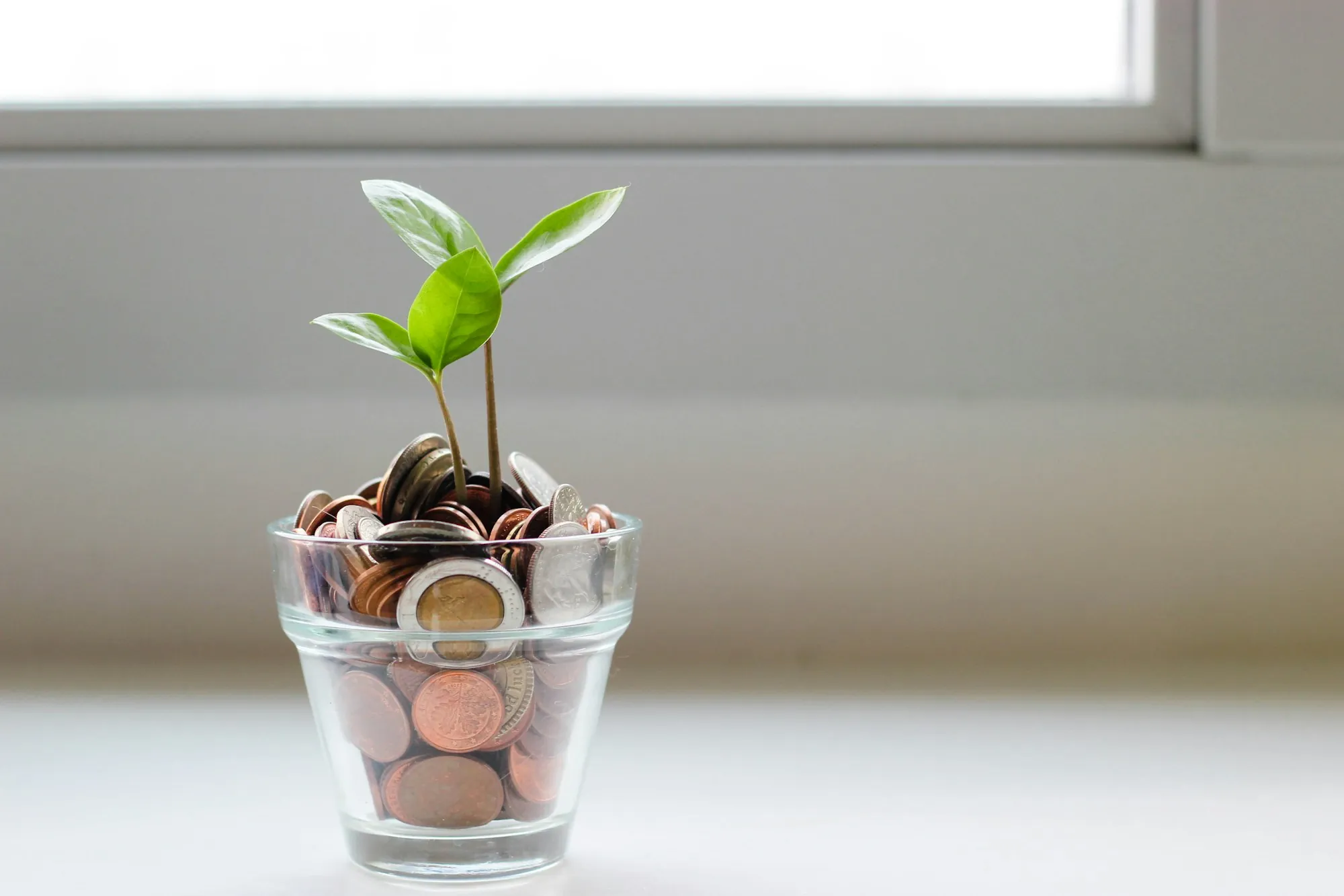 Coins in a glass jar with a small plant growing, illustrating flexible universal life premiums for Highland Park households